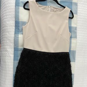 Halston Heritage Cream and Black Mini Dress